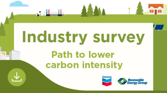 Industry Survey: Path to Lower Carbon Intensity